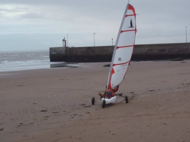  Renta de yale de arena